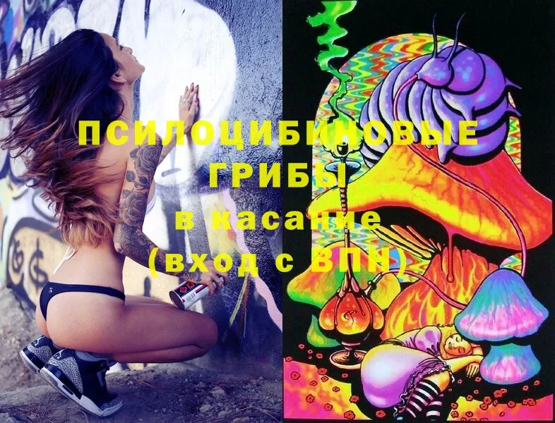 Псилоцибиновые грибы Psilocybe  Алушта 